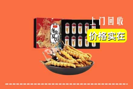 长春市二道回收冬虫夏草